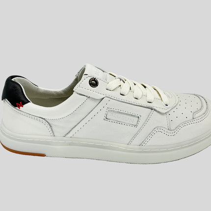 BLSN-600+W