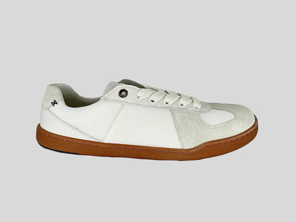 BLSN-204W