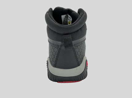 Pegasus S3S