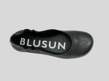 BLSN-010W