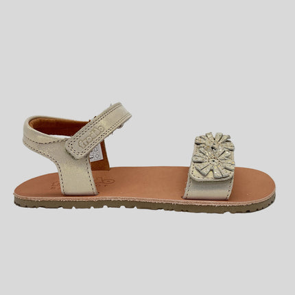 Barefoot Flexy Flowers