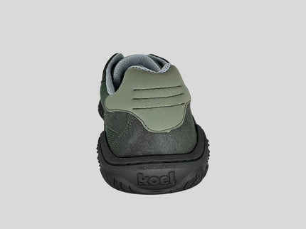 Rexi