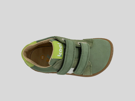 Denis Napa New 3.0