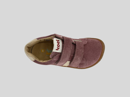 Denis Suede 3.0