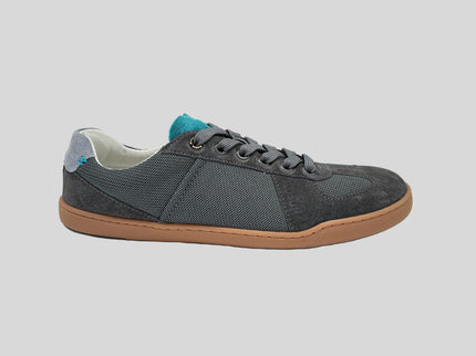 BLSN-204M