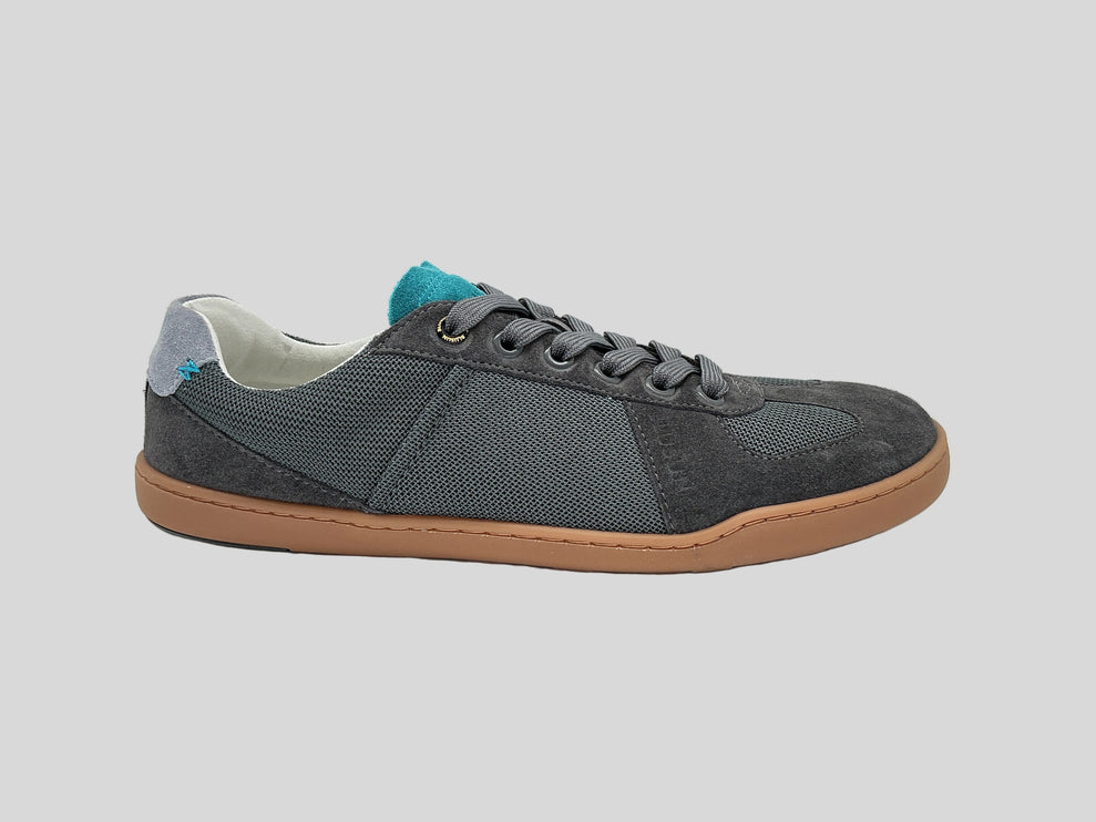 BLSN-204M