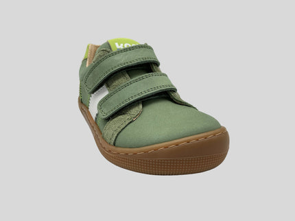 Denis Napa New 3.0
