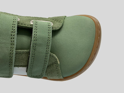 Denis Napa New 3.0