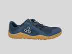 Insignia Blue
