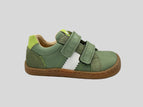 Green Alface