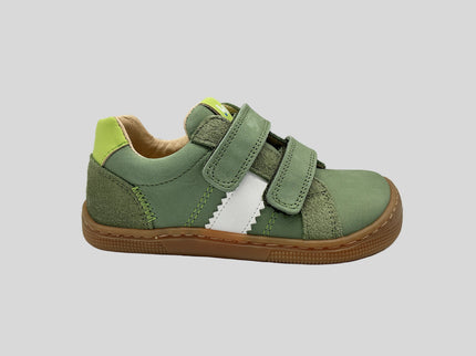 Denis Napa New 3.0