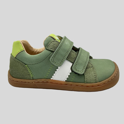Denis Napa New 3.0