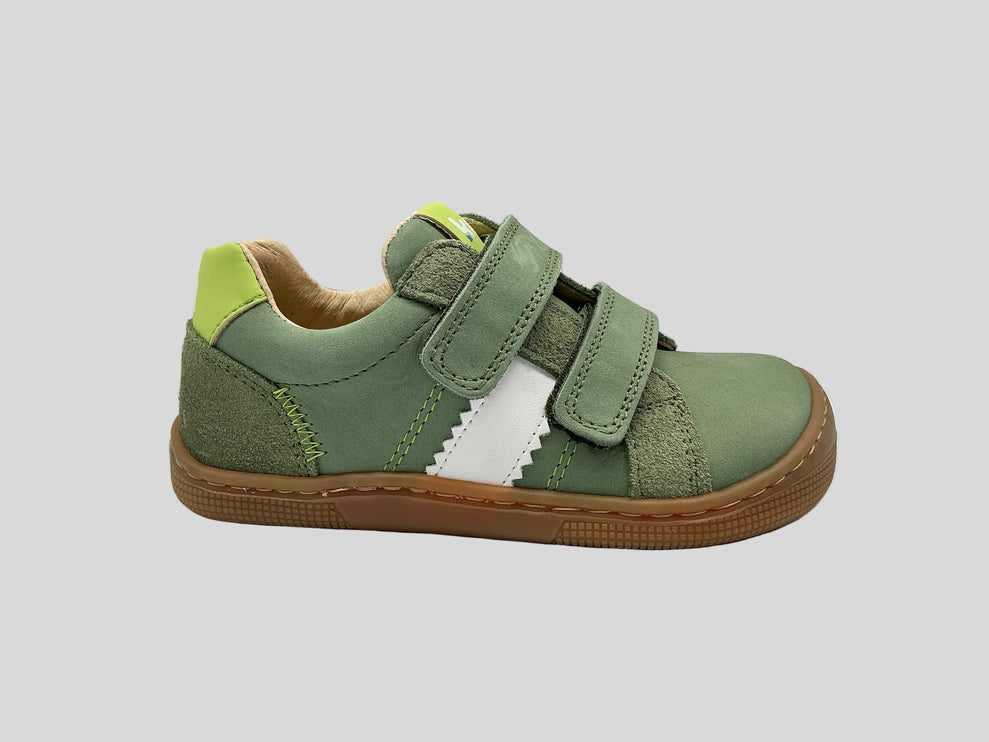 Denis Napa New 3.0